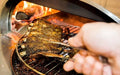 Alfa Forni Alfa BBQ 500 - AC-BBQ500-3 AC-BBQ500-3 Barbecue Accessories