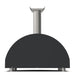 Alfa Forni Alfa Classico 2 Pizze Wood-Fired Pizza Oven FXCL-2P-LGRA Barbecue Finished - Pellet 812555036928