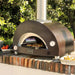Alfa Forni Alfa Moderno 1 Pizza Gas-Fired Portable Pizza Oven Barbecue Finished - Gas
