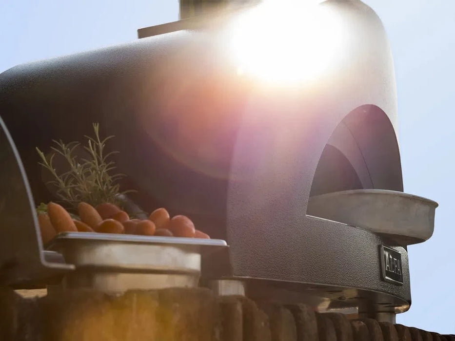 Alfa Forni Alfa Moderno 1 Pizza Gas-Fired Portable Pizza Oven Barbecue Finished - Gas