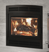 Ambiance Ambiance Fireplaces Elegance 40 Wood Fireplace (Arched Door) UW0210 Fireplace Finished - Wood