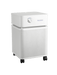 Austin Air Austin Air Bedroom Machine - B4021 Vacuum Finished