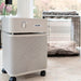 Austin Air Austin Air Healthmate - B4001 Vacuum Finished