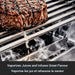 Broil King Broil King Baron 490 PRO Shadow Gas Grill Barbecue Finished - Gas
