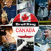 Broil King Broil King Baron S 490 PRO IR Gas Grill Barbecue Finished - Gas