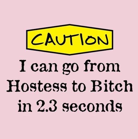 Chadwicks & Hacks LA Imprints Attitude Apron - Hostess to B!tch 2069 Barbecue Accessories