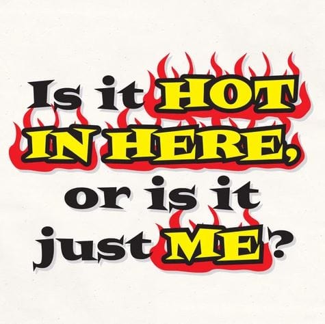 Chadwicks & Hacks LA Imprints Attitude Apron - is it Hot in Here 2026 Barbecue Accessories
