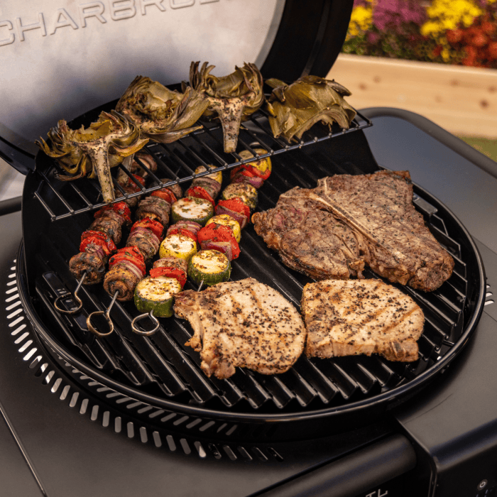 Charbroil Char Broil Bistro Pro Electric Grill + Charcoal Mode Blackout 25302177 Barbecue Finished - Gas 99143021775