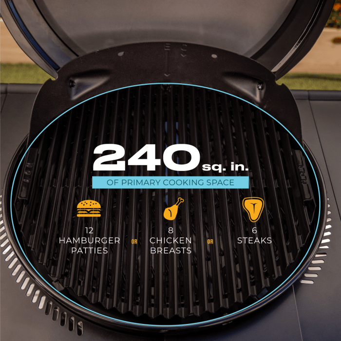 Charbroil Char Broil Bistro Pro Electric Grill + Charcoal Mode Blackout 25302177 Barbecue Finished - Gas 99143021775