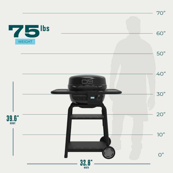 Charbroil Char Broil Bistro Pro Electric Grill + Charcoal Mode Blackout 25302177 Barbecue Finished - Gas 99143021775