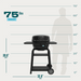 Charbroil Char Broil Bistro Pro Electric Grill + Charcoal Mode Blackout 25302177 Barbecue Finished - Gas 99143021775