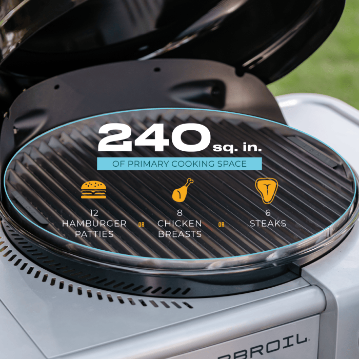 Charbroil Char Broil Bistro Pro Gas Grill + Charcoal Mode 25102152 Barbecue Finished - Gas 99143121529