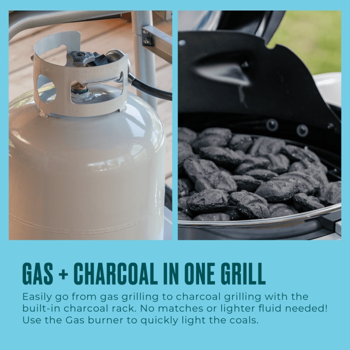 Charbroil Char Broil Bistro Pro Gas Grill + Charcoal Mode 25102152 Barbecue Finished - Gas 99143121529