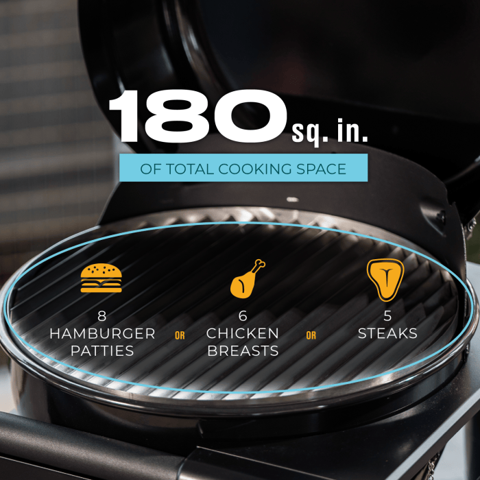 Charbroil Char Broil Bistro Pro Tabletop Gas Grill Blackout 25102153 Barbecue Finished - Gas 99143121536