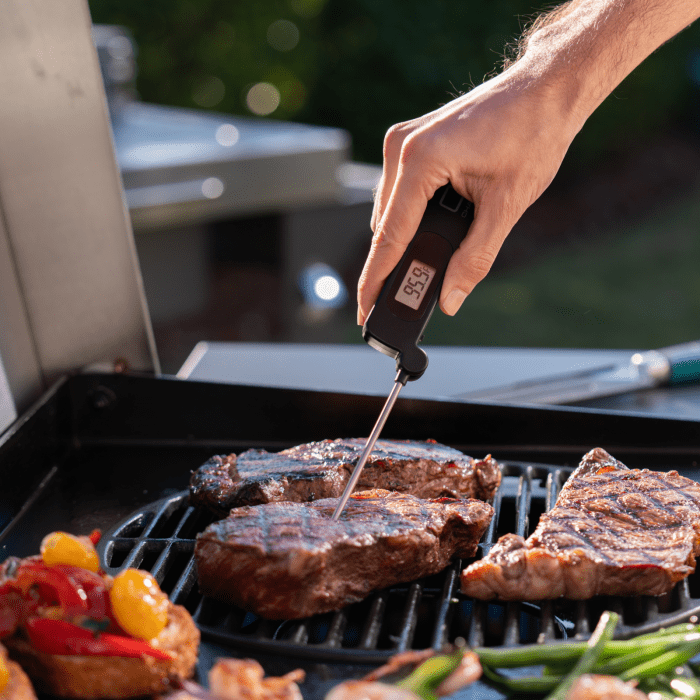 Charbroil Char Broil Digital Thermometer - CB2260020 CB2260020 Barbecue Accessories 047362600202