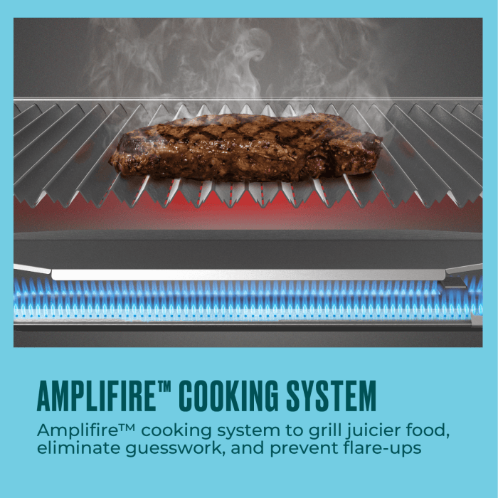 Charbroil Char Broil Grill2Go X200 Portable Gas Grill 25409200 Barbecue Finished - Gas 099143092003