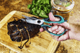 Charbroil Char Broil Meat Shear - CB2250155 CB2250155 Barbecue Accessories 047362501554