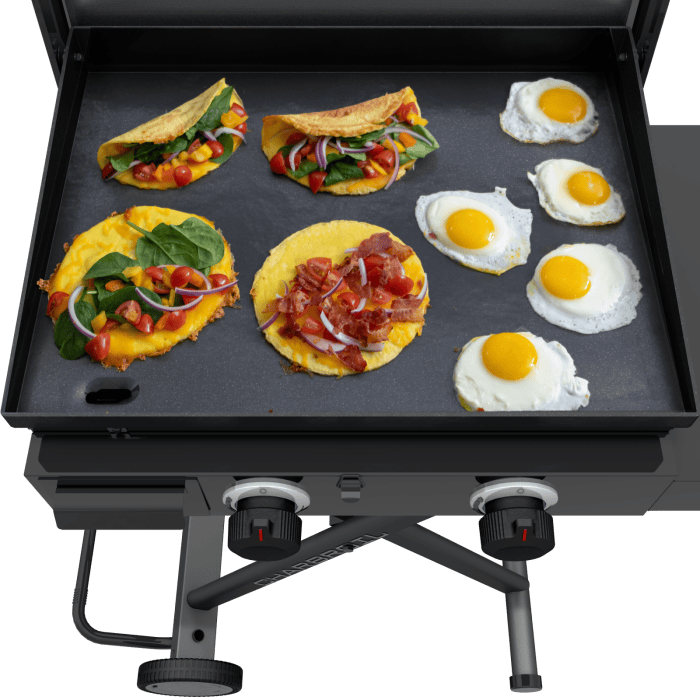 Charbroil Char Broil Performance Series 22" Folding Cart 2 Burner Portable Propane Gas Griddle 463711223 Barbecue Finished - Gas 47362371126