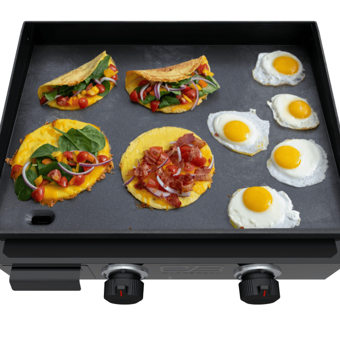 Charbroil Char Broil Performance Series 22" Portable Tabletop 2 Burner Propane Gas Griddle 463614224 Barbecue Finished - Gas 047362361424