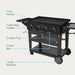 Charbroil Char Broil Performance Series 36" Propane Gas Griddle with Cart 4 Burner Flat Top Grill 463259124 Barbecue Finished - Gas 047362325914