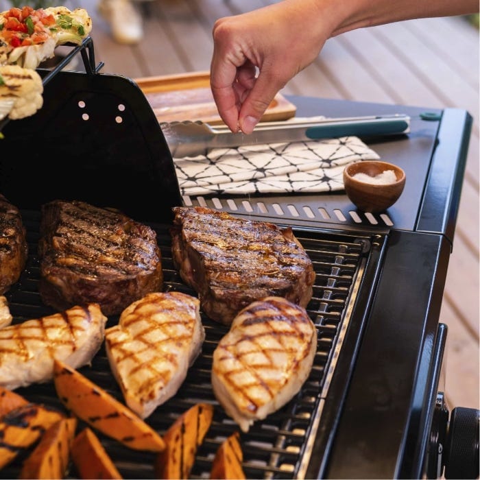 Charbroil Char Broil Pro Series 2-Burner Gas Grill 463676724 Barbecue Finished - Gas 47362367679