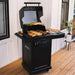 Charbroil Char Broil Pro Series 2-Burner Gas Grill 463676724 Barbecue Finished - Gas 47362367679