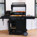 Charbroil Char Broil Pro Series 4-Burner Gas Grill with Side Burner 463281024 Barbecue Finished - Gas 47362328106
