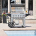Crown Verity Crown Verity 30" Mobile Grill Pro + RollDome Package Barbecue Finished - Gas