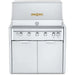 Crown Verity Crown Verity 36" Infinite Modular Gas Grill with Light Package& Propane Tank Holder Barbecue Finished - Gas