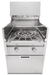 Crown Verity Crown Verity Modular  Power Burner with Light Package - ICM-PBNG-LT ICM-PBNG-LT Barbecue Finished - Gas