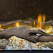 Dimplex Dimplex Tumbled Glass Ember Bed - 500003421 500003421 Fireplace Accessories 781052153059