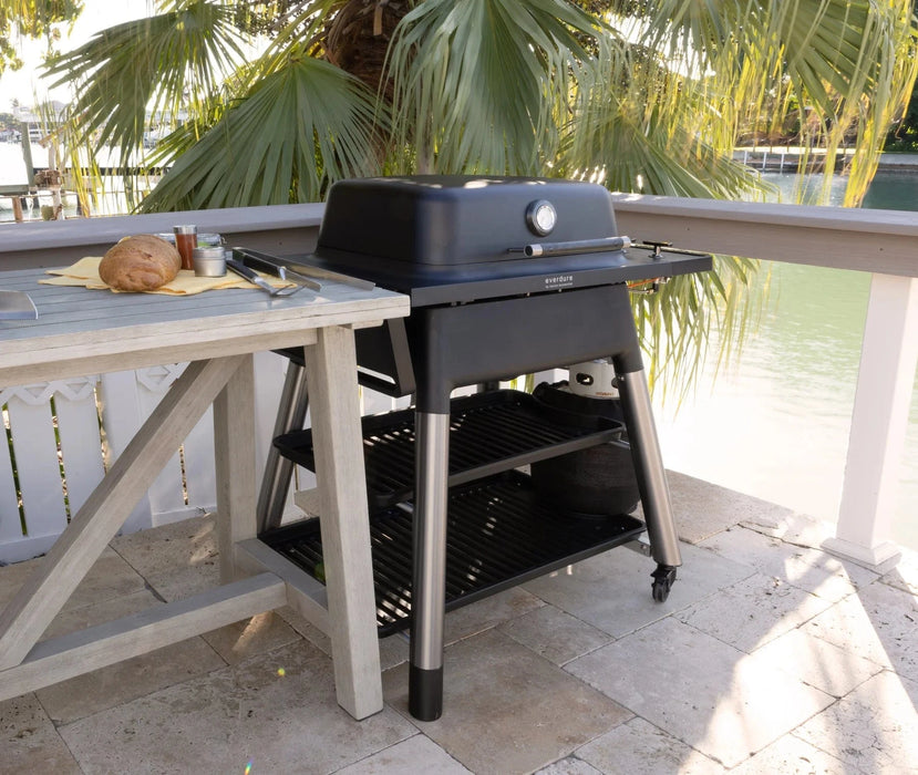 Everdure Everdure FORCE 2-Burner Gas Grill Barbecue Finished - Gas