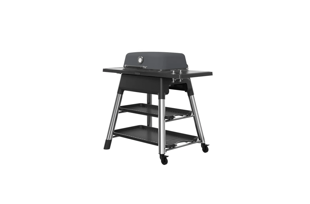 Everdure Everdure FORCE 2-Burner Gas Grill Barbecue Finished - Gas