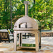 Fontana Forni Fontana Forni Mangiafuoco Wood-Fired Pizza Oven Barbecue Finished - Charcoal