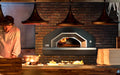 Fontana Forni Fontana Forni Vulcano Commercial Wood-Fired Pizza Oven FFVUL-A Barbecue Accessories - Pellet 840495111559