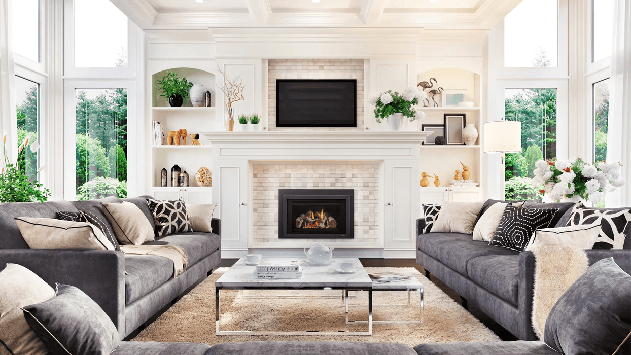 Heat And Glow Heat & Glo 25" Supreme Gas Fireplace Insert with Birch Logs SUPREME-I25-BIR-FD Fireplace Finished - Gas