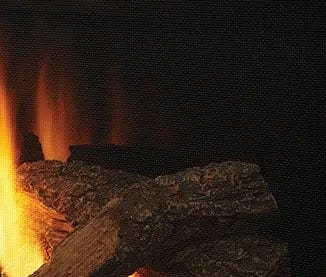 Heat And Glow Heat & Glo Reflective Black Glass Liner 25" traditional units - LINER-BK-25 LINER-BK-25-FD Fireplace Accessories