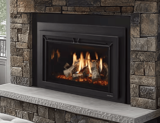 Heat And Glow Heat & Glo SupremeX 30" Gas Fireplace Insert (Birch Logs) SUPREMEX-I30BIR-FD Fireplace Finished - Gas