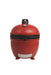 Kamado Joe Kamado Joe Big Joe III Standalone KJ15040821 Barbecue Finished - Charcoal