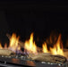 Majestic Majestic Driftwood Log Set (Echelon II 48) - LOGS-DRTWOOD-48 LOGS-DRTWOOD-48 Fireplace Accessories