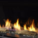 Majestic Majestic Driftwood Log Set (Echelon II 48) - LOGS-DRTWOOD-48 LOGS-DRTWOOD-48 Fireplace Accessories