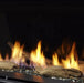 Majestic Majestic Driftwood Log Set (Echelon II 72) - LOGS-DRTWOOD-72 LOGS-DRTWOOD-72 Fireplace Accessories
