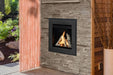 Miles Industries Ltd. Valor Portrait V-Class Insert Gas Fireplace Fireplace Finished - Gas