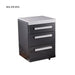 Mont Alpi Mont Alpi 3 Drawer Cabinet Module - MA-DR Black Stainless Steel MA-DR-BSS Barbecue Finished - Gas