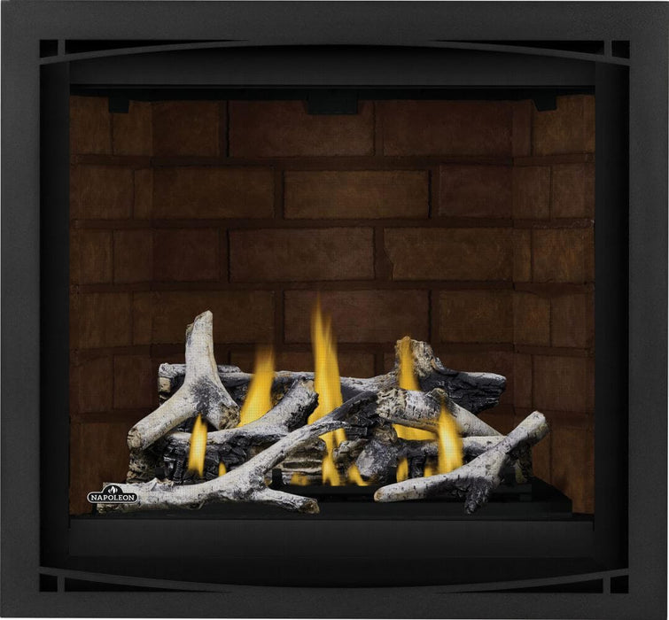 Napoleon Napoleon Altitude X 36 Gas Fireplace Fireplace Finished - Gas