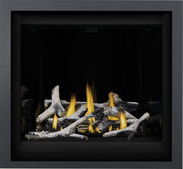 Napoleon Napoleon Altitude X 36 Gas Fireplace Fireplace Finished - Gas