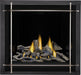 Napoleon Napoleon Altitude X 36 Gas Fireplace Fireplace Finished - Gas