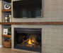 Napoleon Napoleon Ascent Direct Vent 46 Gas Fireplace Electronic Ignition B46NTRE Fireplace Finished - Gas