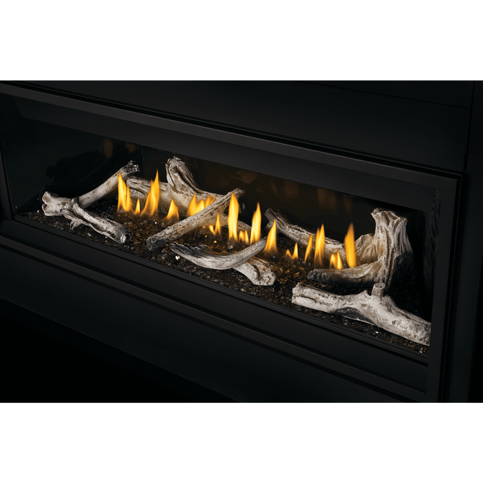 Napoleon Napoleon Ascent Linear 56 Gas Fireplace BL56NTE Fireplace Finished - Gas