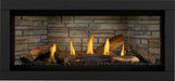 Napoleon Napoleon Ascent Linear Premium 46 Gas Fireplace BLX46NTE Fireplace Finished - Gas